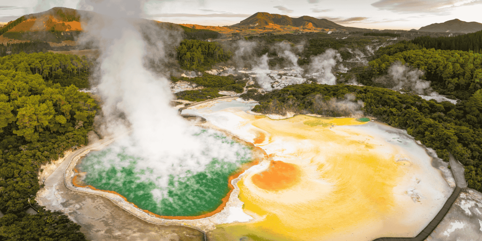 Ilha do Norte: Auckland, Rotorua e Wellington