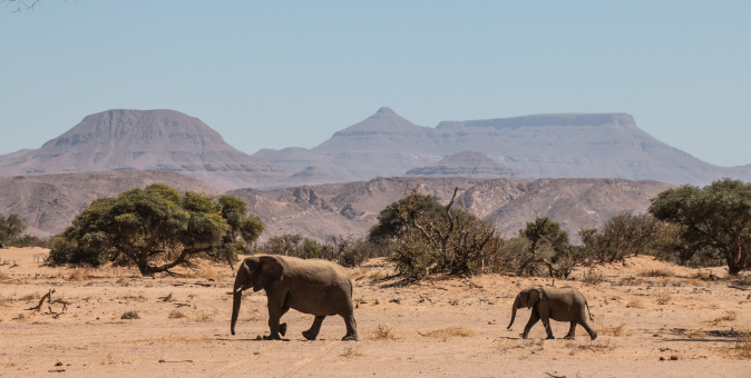 Damaraland