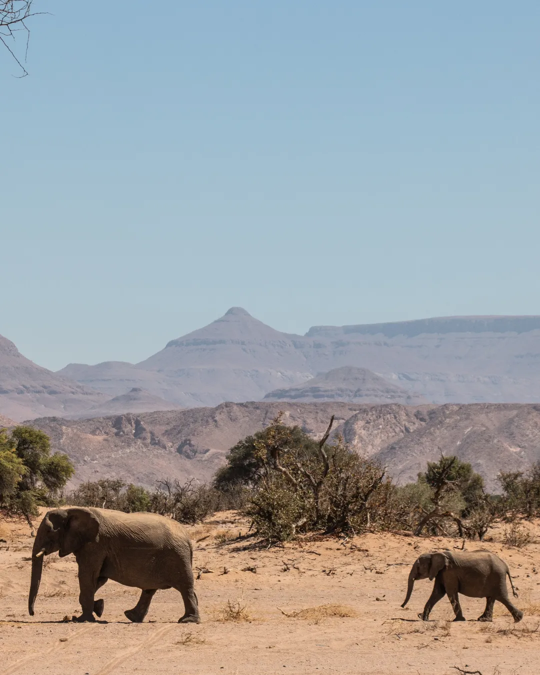 Damaraland