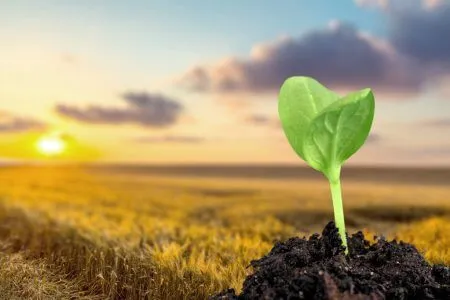 Endiya Partners has faith in ‘global’ startups, even as globalisation’s being trumped elsewhere