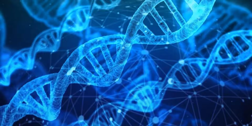 Lifesciences 2.0: Genomics