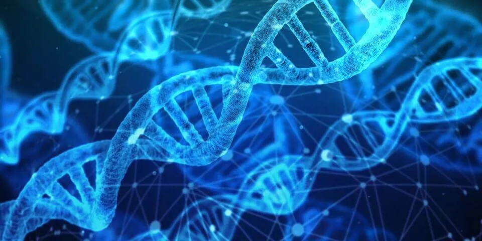 Lifesciences 2.0: Genomics