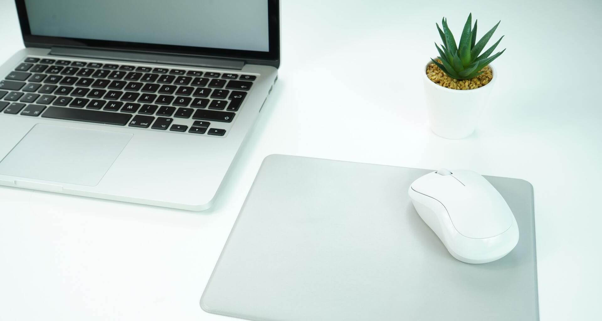 Webflow and WordPress - The Same? Other? Main Differences