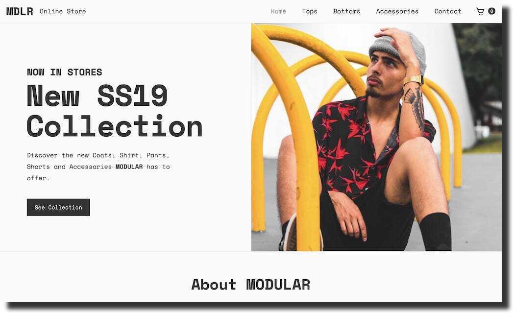 demo-site-of-the-webflow-template