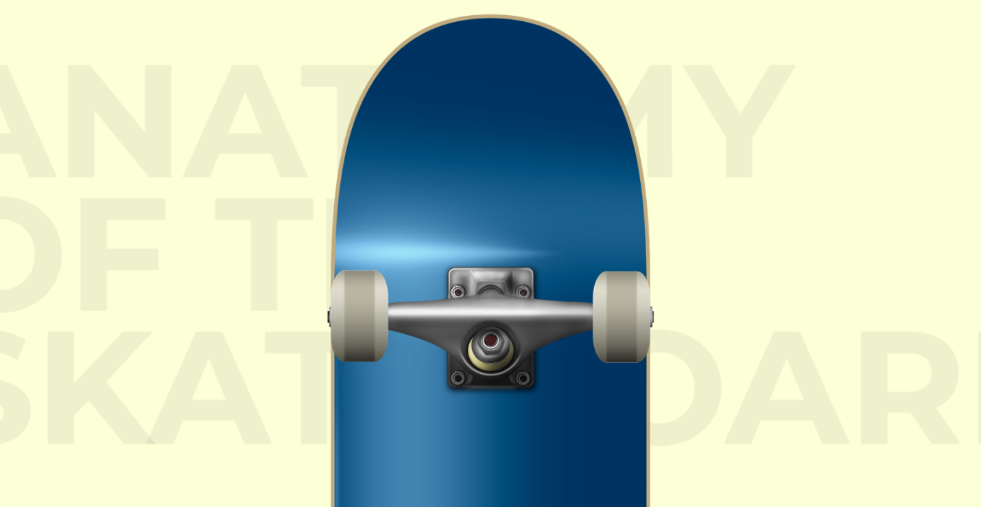 anatomy of skateboard website interface 