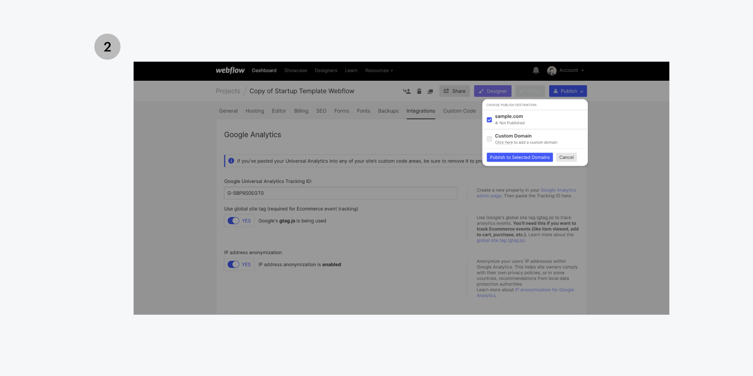google analytic set up - piblishing options