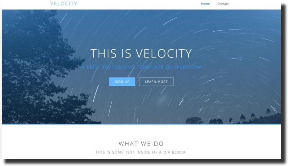 demo-site-of-the-webflow-template‍