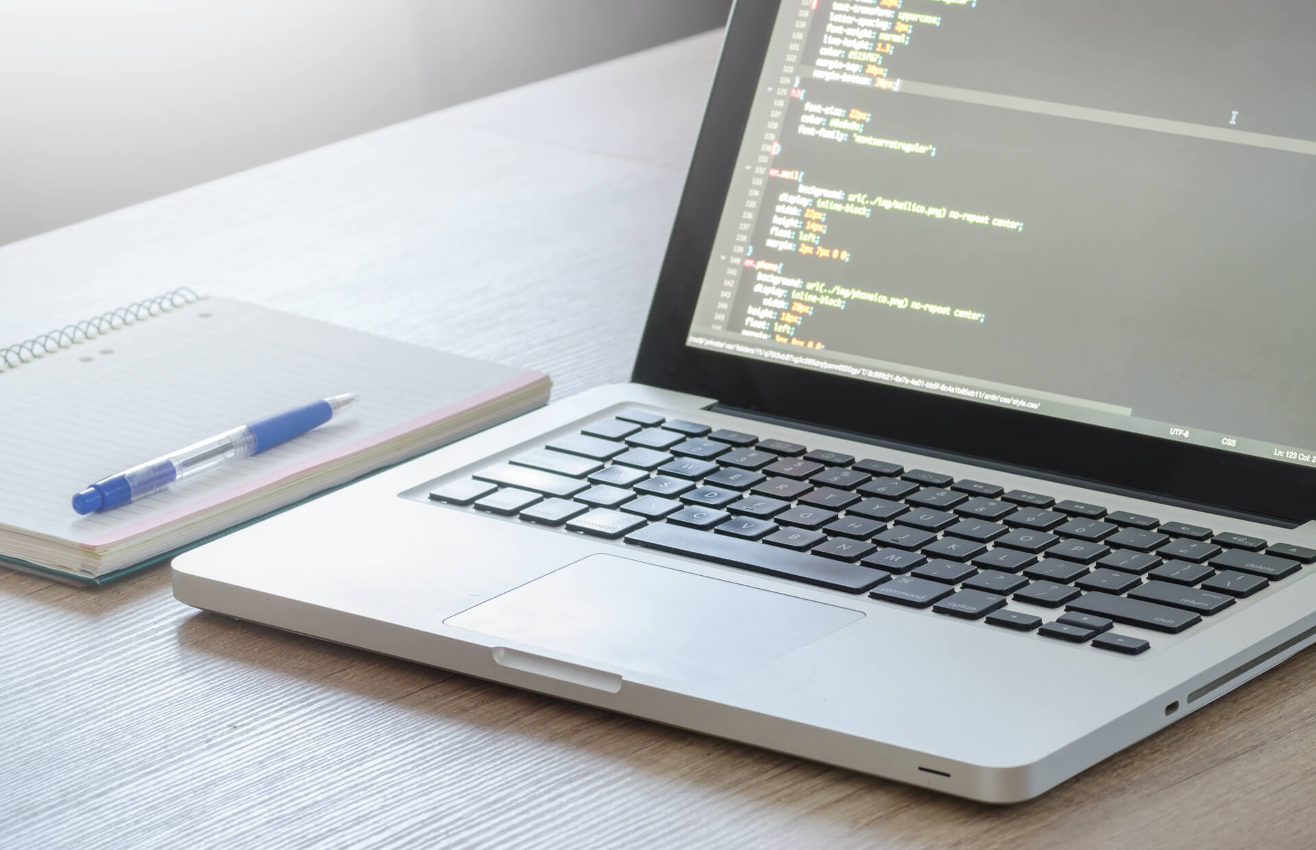 Everything You Need To Know About Webflow Custom Code