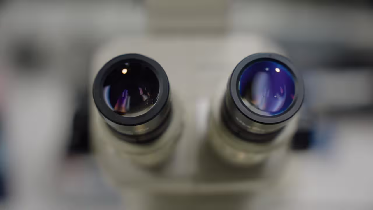Close-up of a microscope's dual eyepieces, with reflective lenses suggesting precision and focus, set against a softly blurred background.