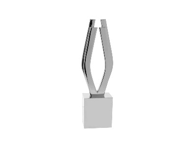Viddy Award