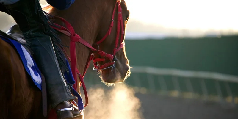 Racehorse and jockey in early morning light before a spring carnival race day
