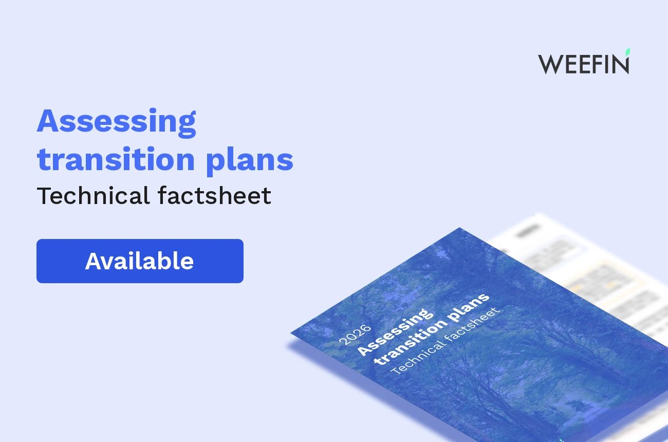 WeeFin technical factsheet: assessing transition plans
