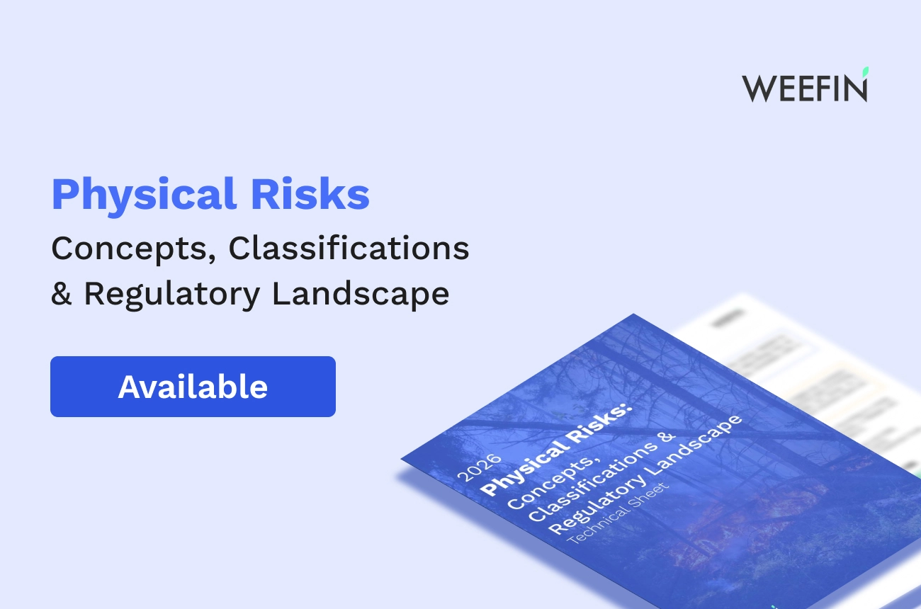 WeeFin technical fact sheet: physical risks, concepts, classifications and the regulatory landscape