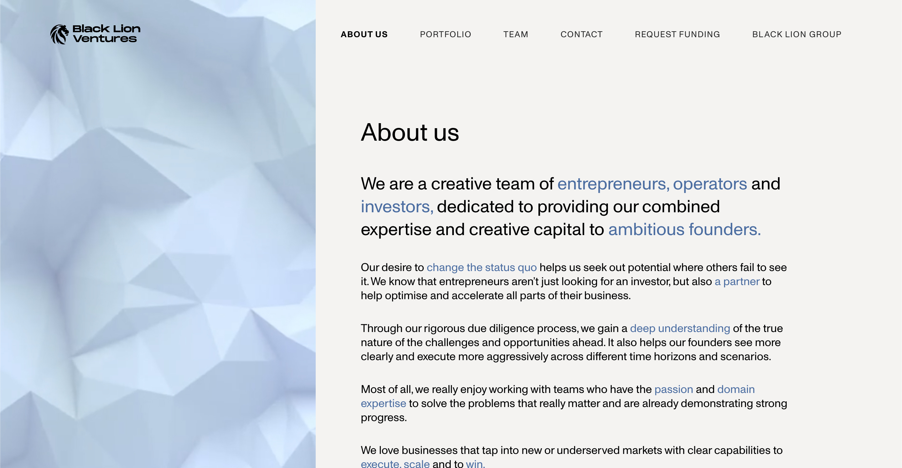 Black Lion Ventures photo