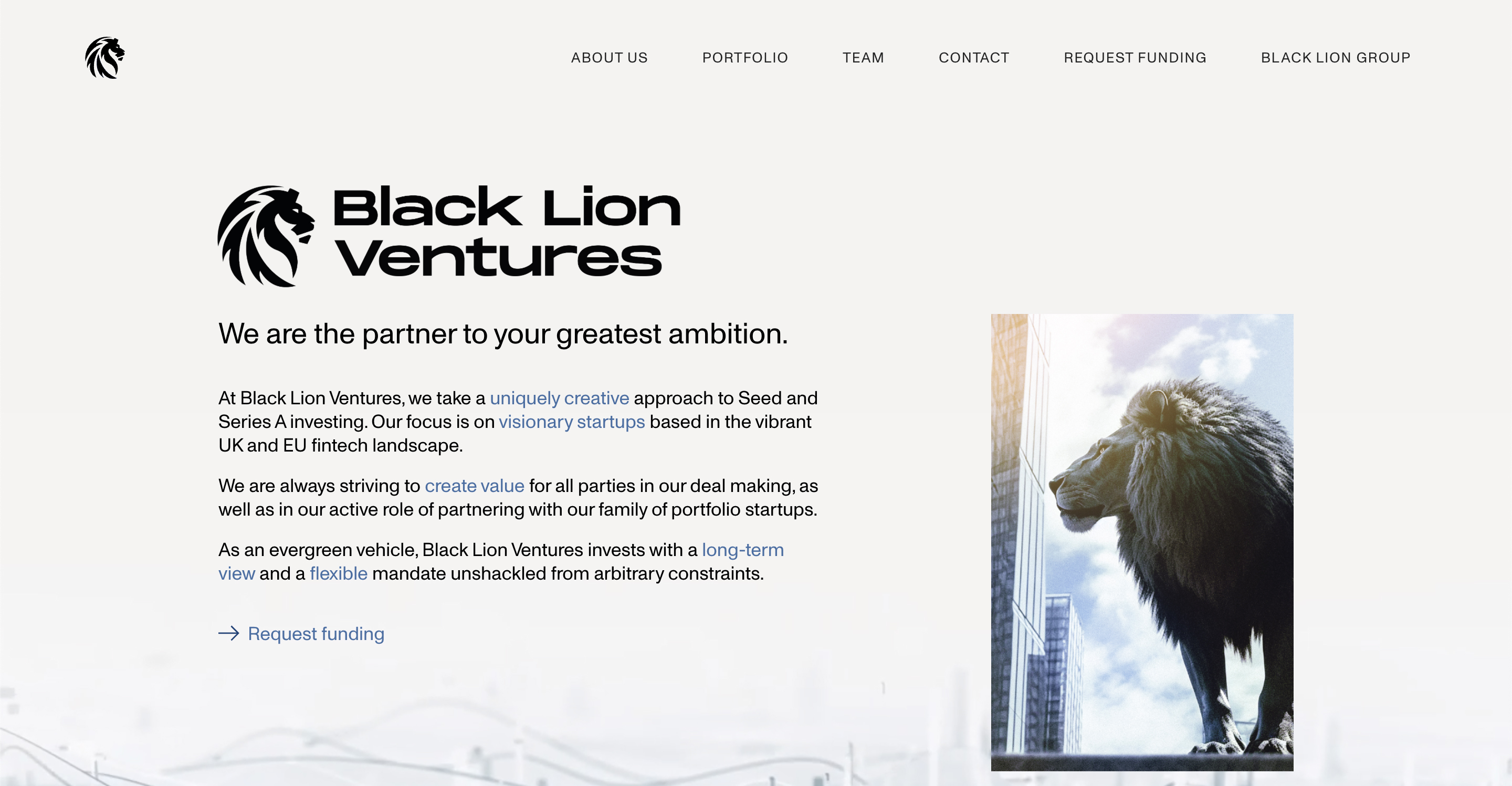 Black Lion Ventures photo