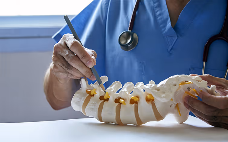 Medical professional in blue scrubs pointing at a spinal model with a pen.