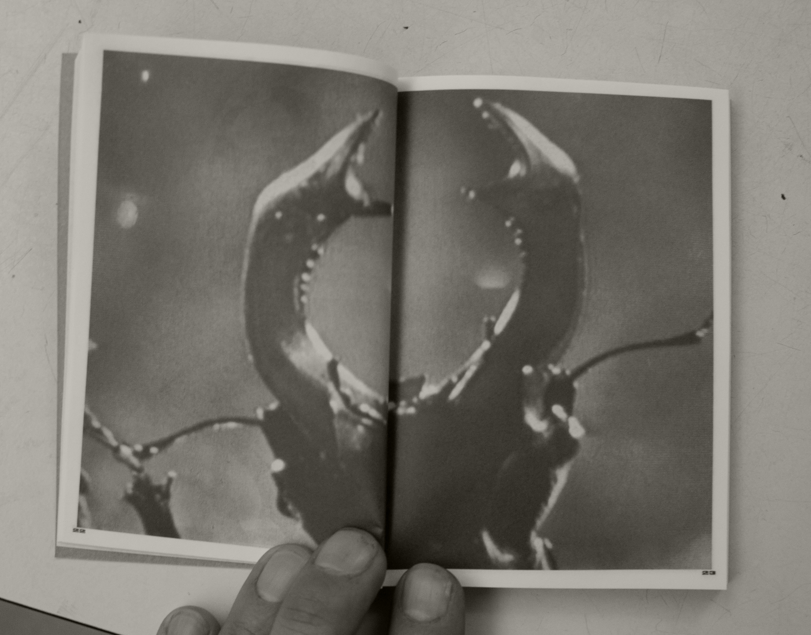 Pocket Book Solo-Expo Thijs