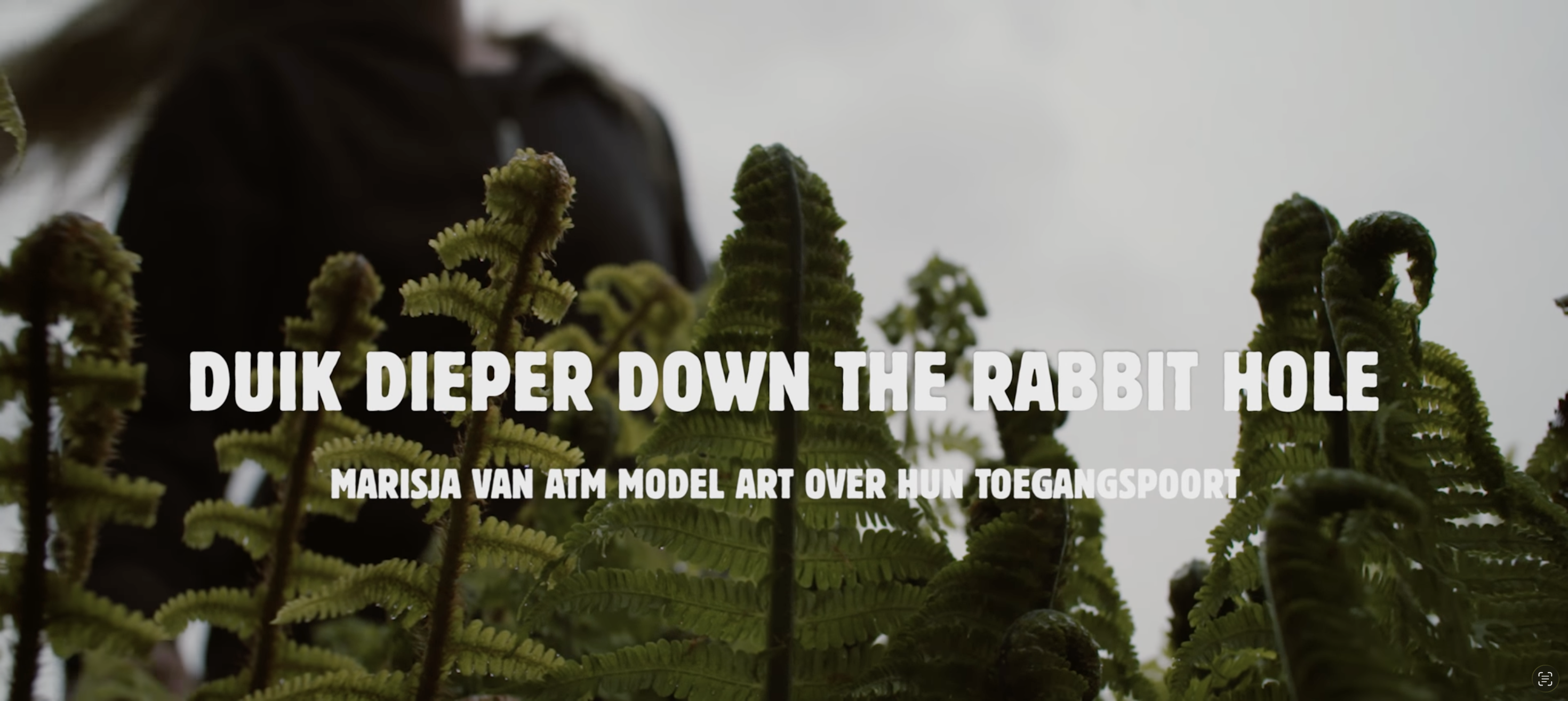 NPO 3FM | Het verhaal achter de magische toegangspoort van Down The Rabbit Hole