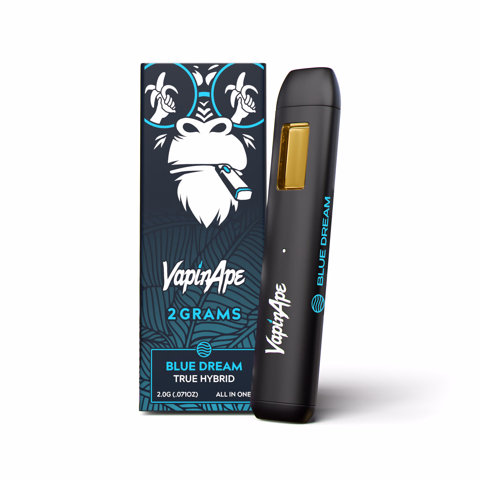 Blue Dream 2G AIO Disposable
