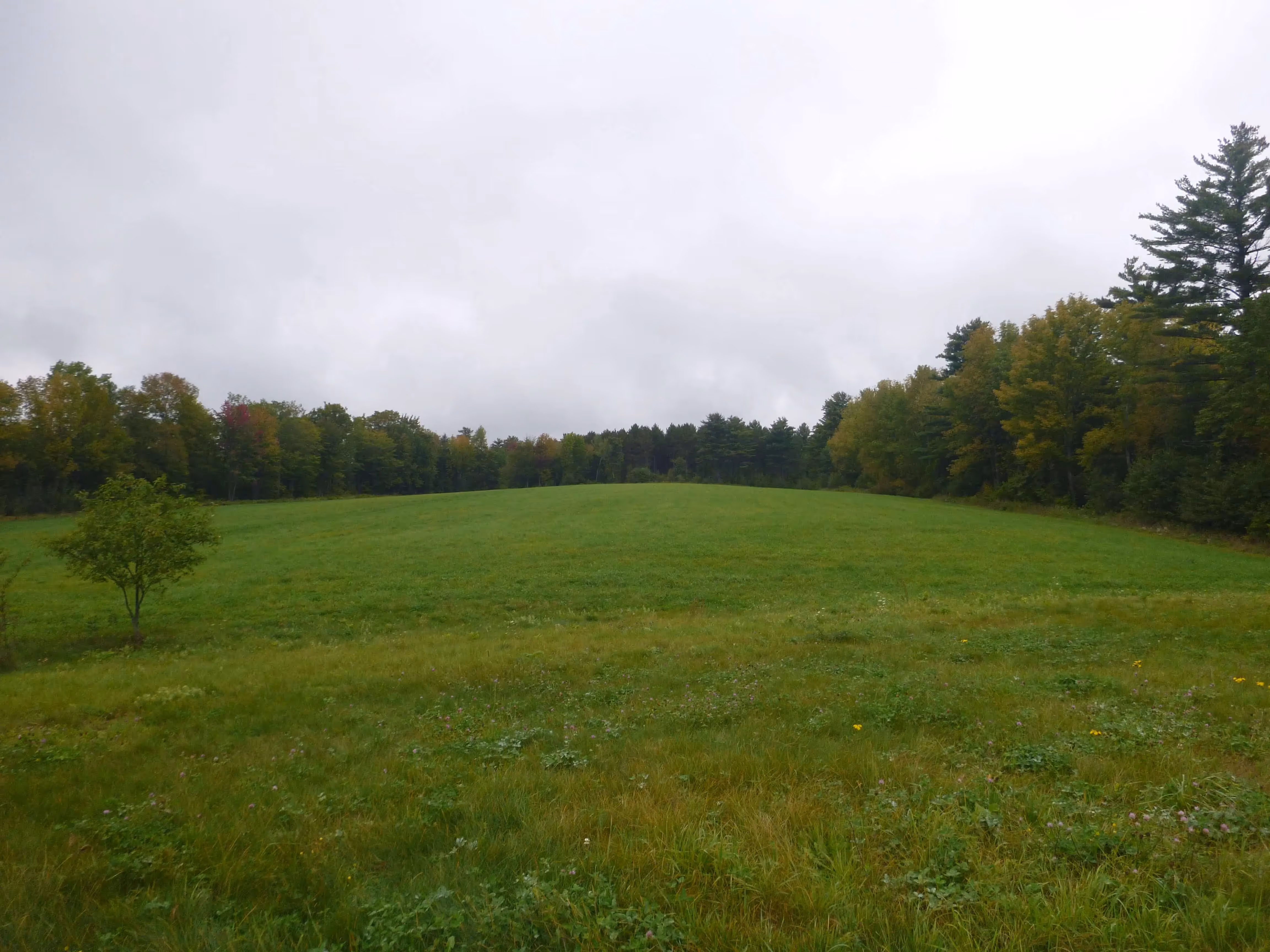 Two new Forever Farms: McLaughlin & Meadowsweet