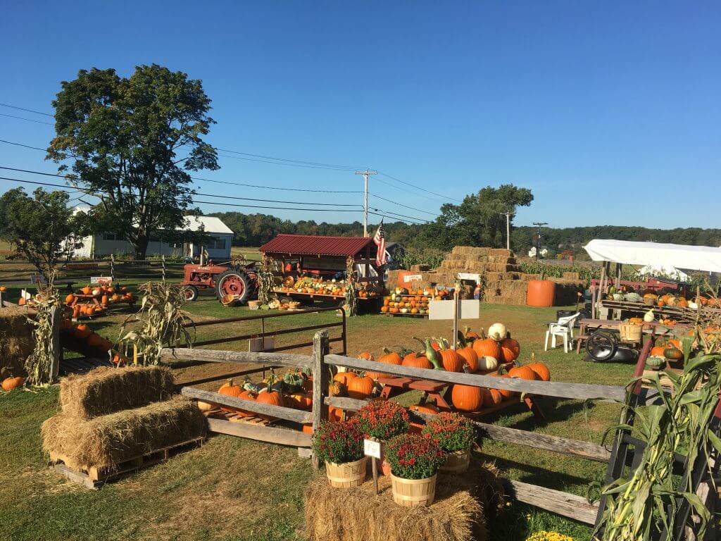 Autumn farm scene with pumpkins, hay bales, tractor, and fall decorations