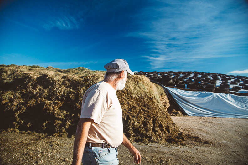 Person looking at large compost piles under blue sky in agricultural setting