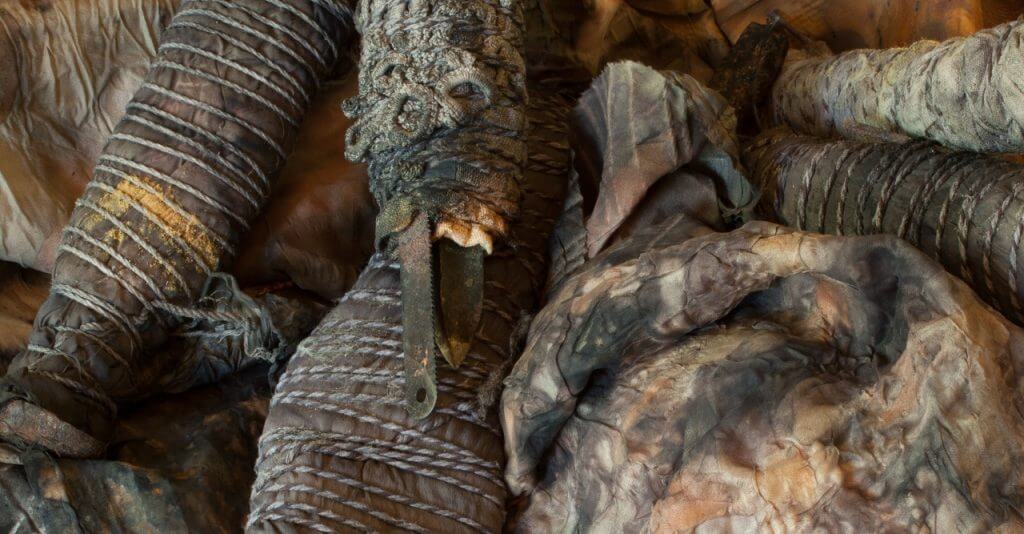 Close-up of textured, mummified or decaying organic material with rope-like wrappings