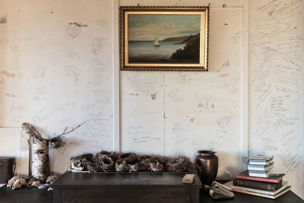 Seascape painting with sailboat, bird nests, and books on rustic shelf