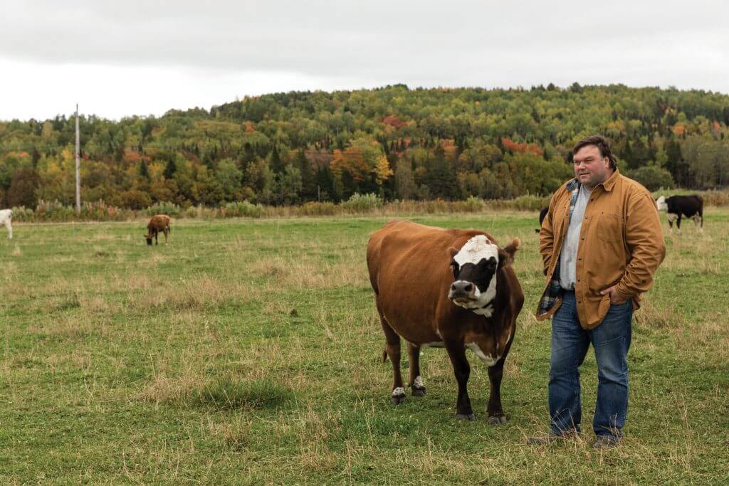 Farmer standing with dairy cow in autumn pasture with forest background