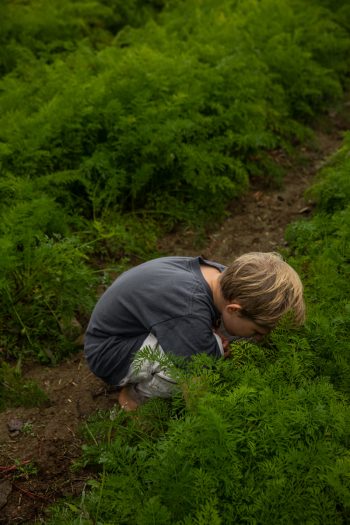 Child crouching among green plants on a forest path
