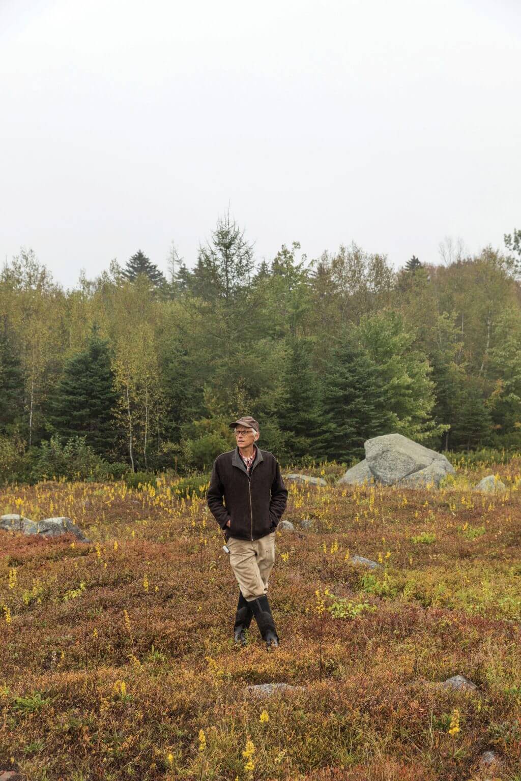 Person standing in autumn field with forest and rocks in background
