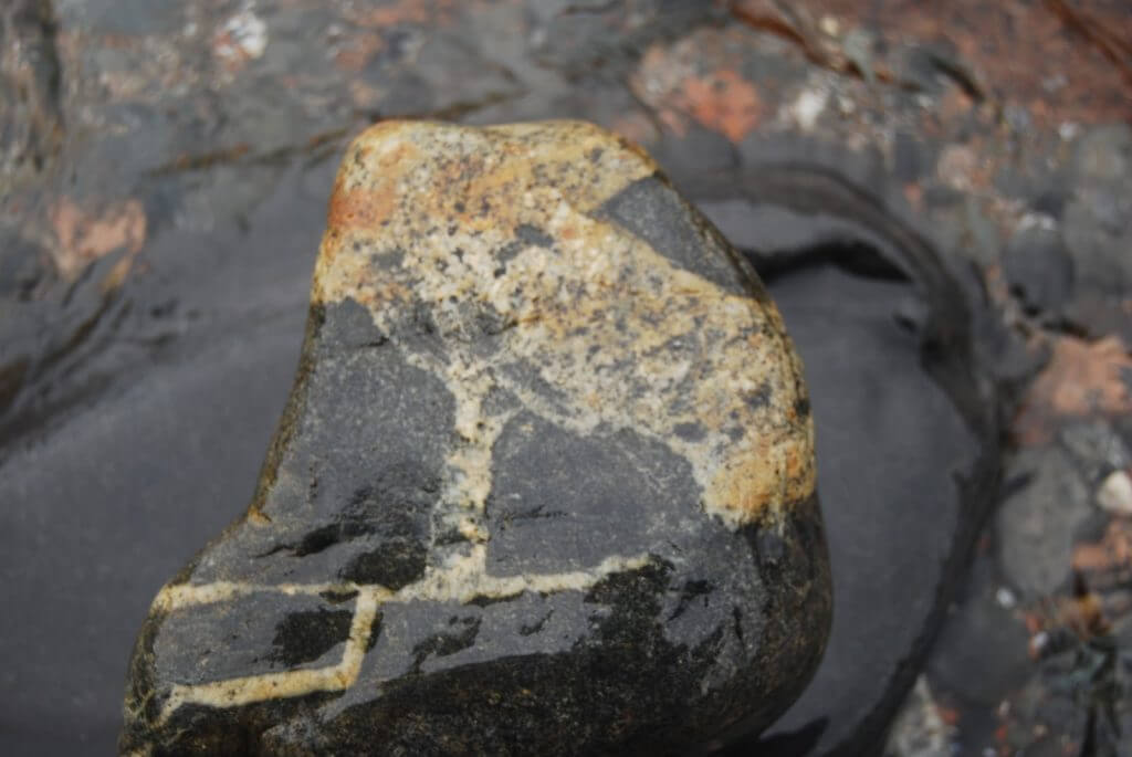 Weathered rock with yellow and gray mottled surface on dark background