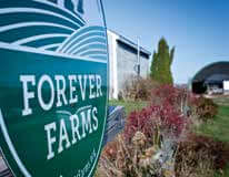 Forever Farms green sign with agricultural landscape and colorful vegetation