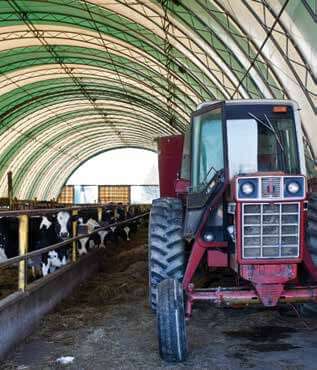Red tractor parked inside a barn with dairy cows in feeding stalls