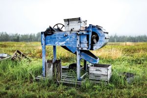 Old blue agricultural thresher machine sitting in grassy field