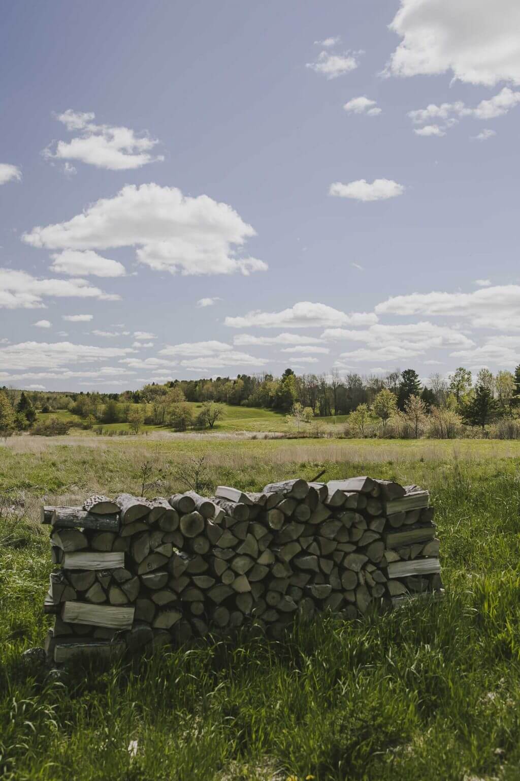 Stacked firewood logs in grassy meadow with cloudy sky and distant trees