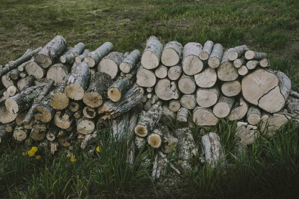 Stacked logs of various sizes with moss, surrounded by green grass and dandelions