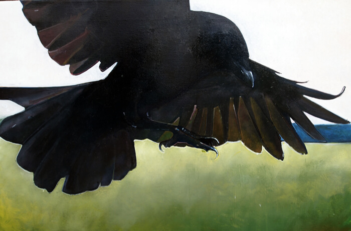 Black raven with outstretched wings flying against blurry green background