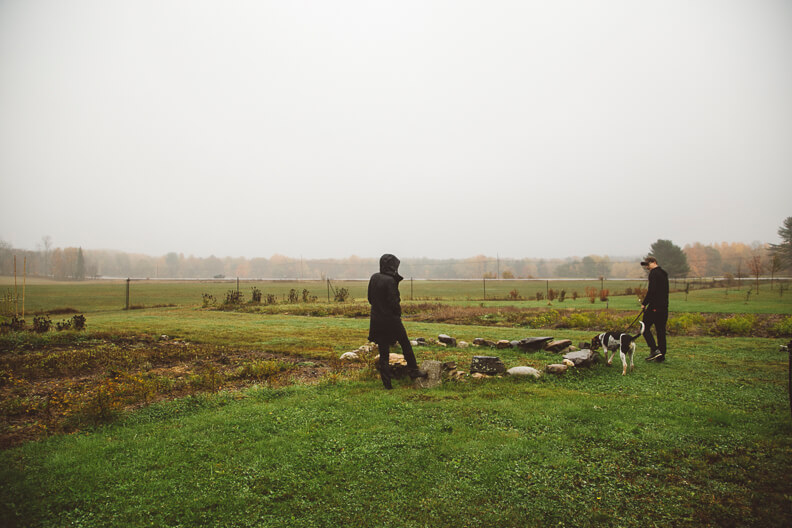 Two people walking dogs in misty rural field with autumn trees