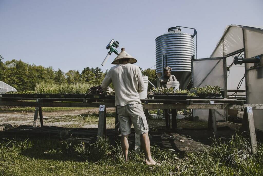 Farmer in conical hat working at plant nursery with water tank