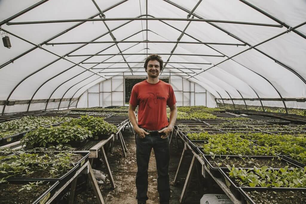 Farmer standing in greenhouse with rows of young green plants