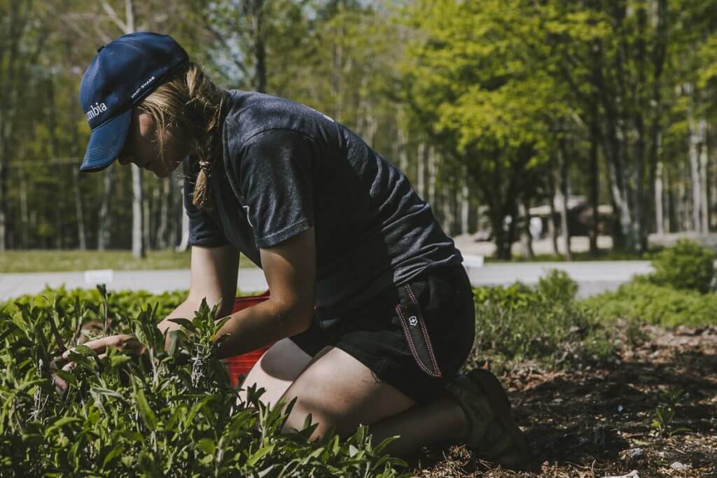 Person kneeling and gardening in forest, wearing blue cap and dark shirt