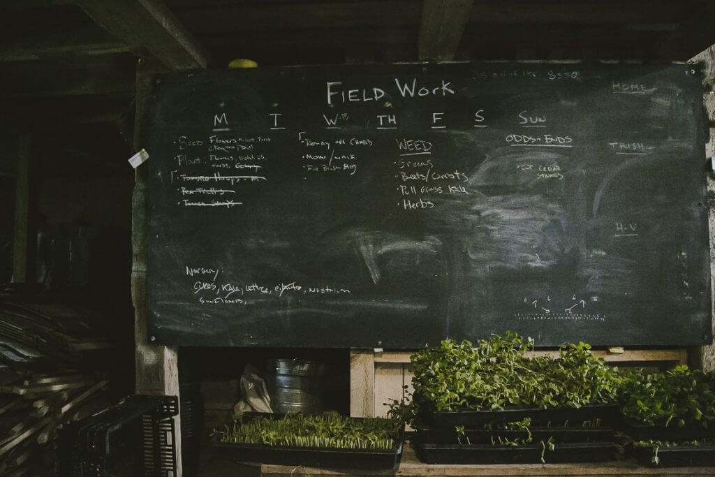 Chalkboard with field work schedule and seedlings in trays below