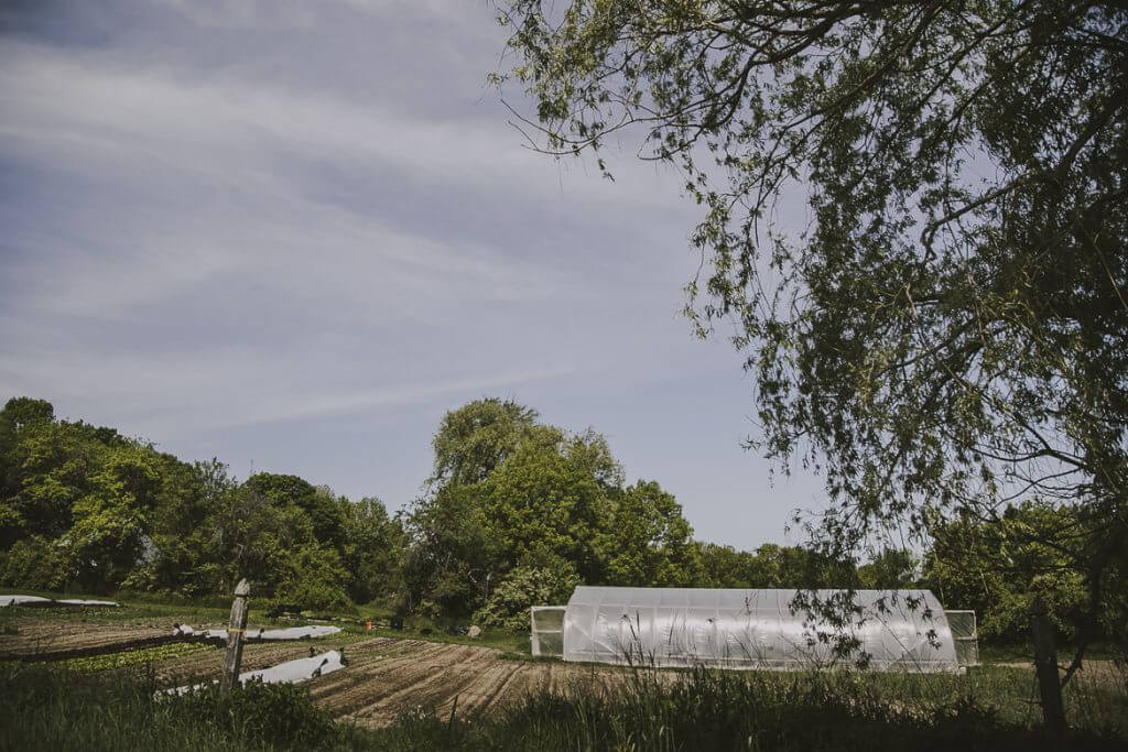 Greenhouse in agricultural field with trees and overcast sky