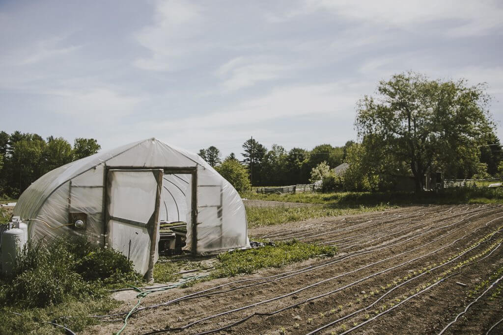 White greenhouse with irrigation lines in a rural farm field