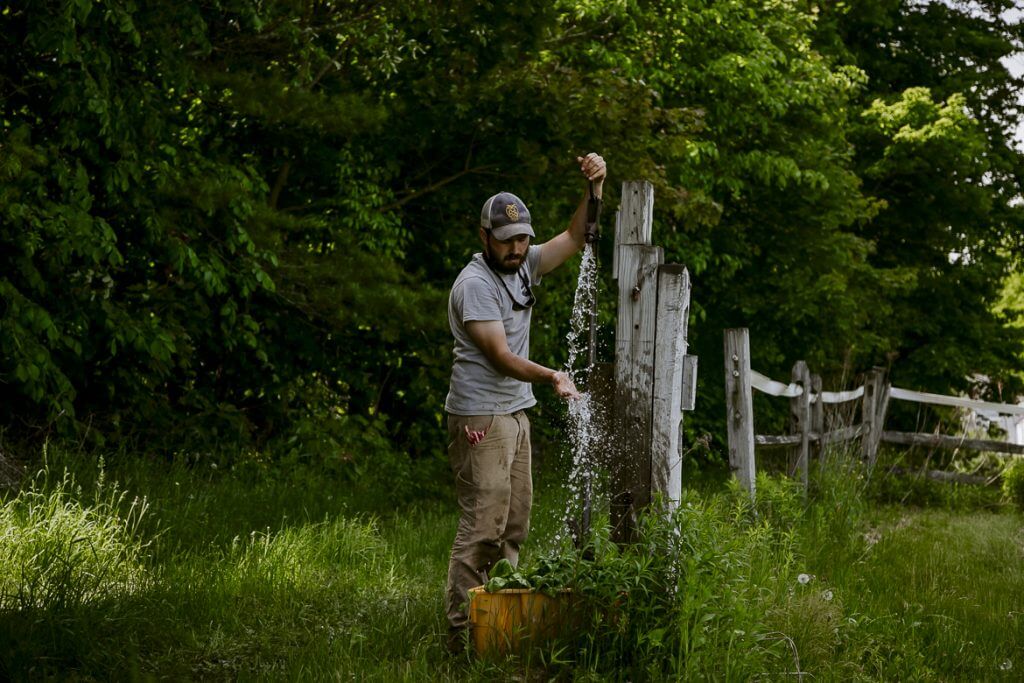 Person pouring water from wooden bucket near rustic fence in green garden