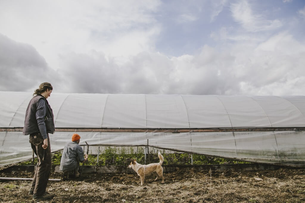 Two people and a dog near a greenhouse on a cloudy day