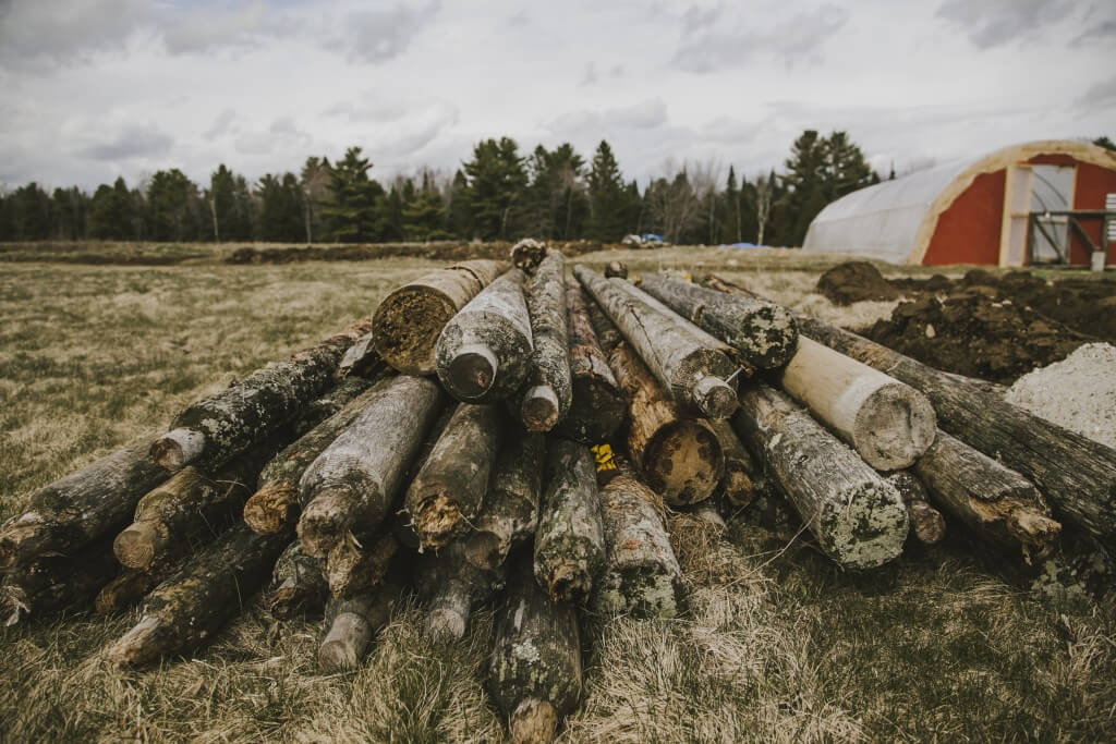 Pile of weathered logs on grassy field with red barn and pine trees