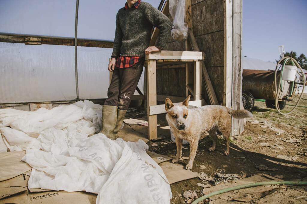 Farm worker in plaid shirt and dog standing in rustic greenhouse workshop
