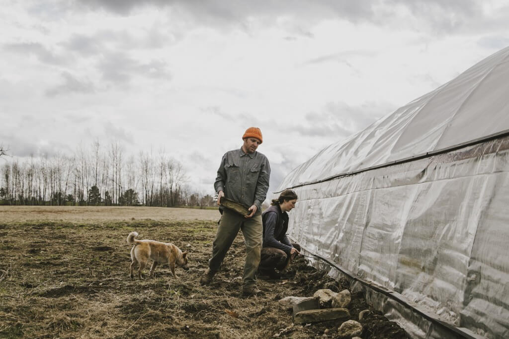 Farmers working near greenhouse with dog on overcast day